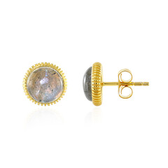 Orecchini in argento con Labradorite