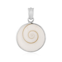 Ciondolo in argento con Occhio di Shiva