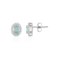Orecchini in argento con Grandidierite