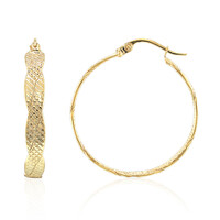 Orecchini in argento