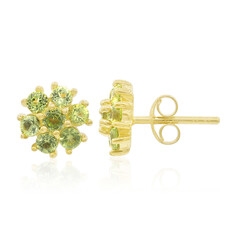 Orecchini in argento con Peridoto