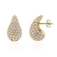 Orecchini in argento con Zircone
