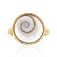 Anello in argento con Occhio di Shiva (Art of Nature)