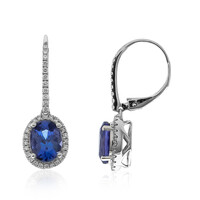 Orecchini in oro con Tanzanite AAA (CIRARI)