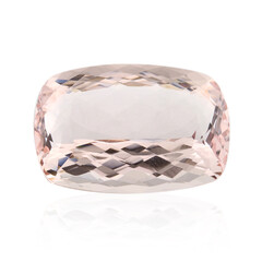 Gemma con Morganite