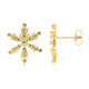 Orecchini placcati in oro con Diamante Fancy