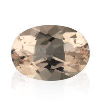 Gemma con Morganite Pesca