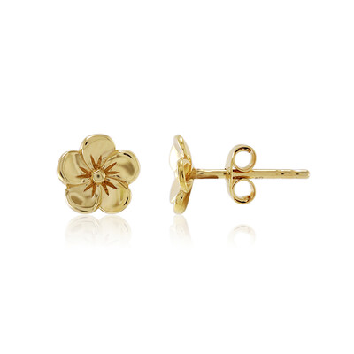 Orecchini in argento