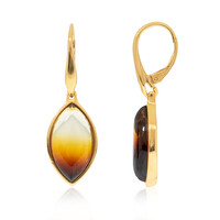 Orecchini in argento con Ambra Baltica