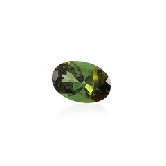 Gemma con Tormalina Verde