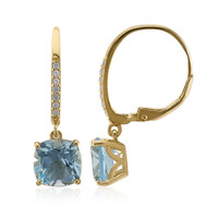 Orecchini in argento con Topazio Blu Cielo