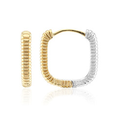 Orecchini in argento