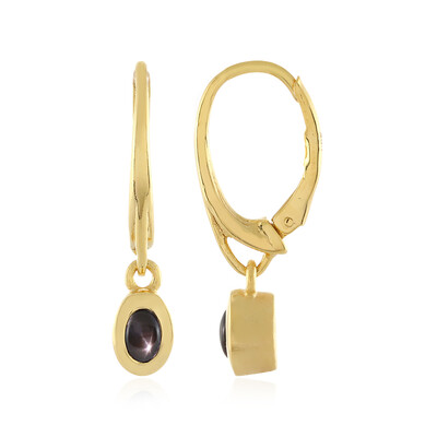 Orecchini in argento con Zaffiro Stellato Nero (MONOSONO COLLECTION)