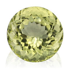 Gemma con Quarzo Ouro Verde
