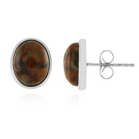Orecchini in argento con Pietersite Dorata
