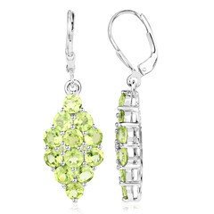 Orecchini in argento con Peridoto