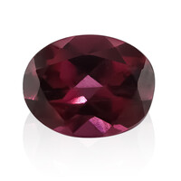 Rodolite