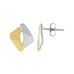 Orecchini in argento