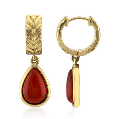 Orecchini in argento con Agata Rossa (TPC)