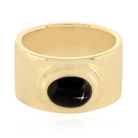 Anello in argento con Diopside Stellato d'India