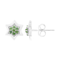 Orecchini in argento con Tsavorite