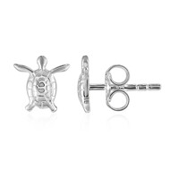 Orecchini in argento