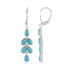 Orecchini in argento con Turchese Sleeping Beauty