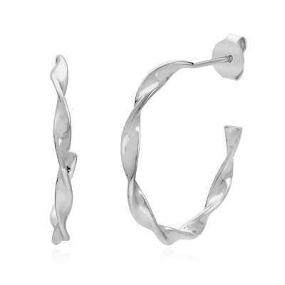 Orecchini in argento
