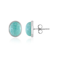 Orecchini in argento con Amazzonite