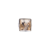 Anello in argento con Legno di Palma Pietrificato