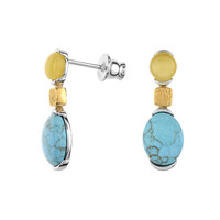 Orecchini in argento con Turchese