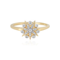 Anello in argento con Diamante I2 (I)