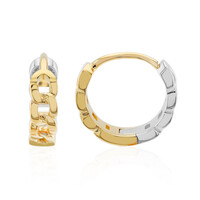 Orecchini in argento