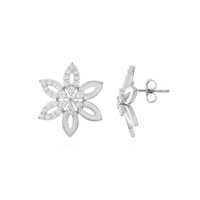 Orecchini in argento con Zircone