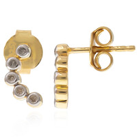 Orecchini in argento con Diamante I2 (I)