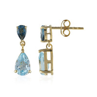 Orecchini in argento con Topazio Blu Cielo