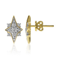 Orecchini in oro con Diamante SI1 (G)