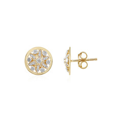 Orecchini in argento con Diamante I2 (I)