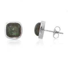 Orecchini in argento con Labradorite