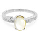 Anello in argento con Conchiglia Abalone