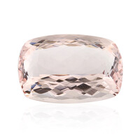 Gemma con Morganite