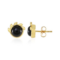 Orecchini in argento con Onice Nero