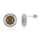 Orecchini in argento con Legno Fossile (dagen)