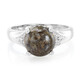 Anello in argento con Quarzo Dinosauro