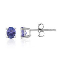 Orecchini in platino con Tanzanite AAA