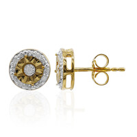 Orecchini in argento con Diamante PK (I)
