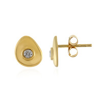 Orecchini in argento con Diamante I4 (J)