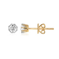 Orecchini in oro con Diamante IF (D)