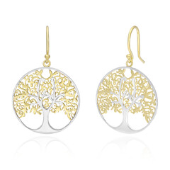 Orecchini in argento