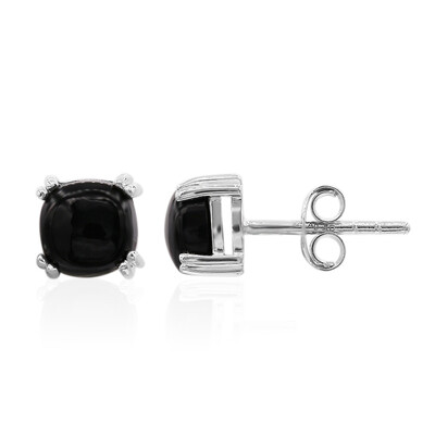 Orecchini in argento con Onice Nero